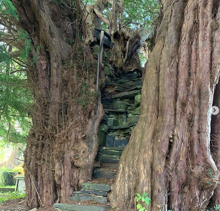 8. Nantlgyn, Denbighshire