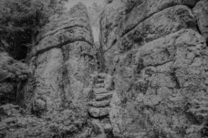 fairy steps