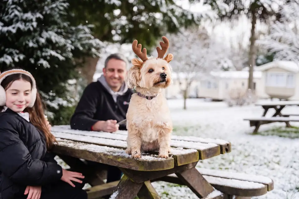 Family with their dog enjoying the winter snow